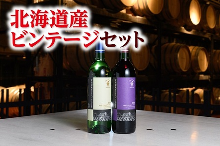 【北海道】北海道産ビンテージ2本　十勝ワイン　辛口ワイン　北海道ワイン　人気ワイン　ビンテージ　北海道ワイン　国内ワイン　ワイン　ワイン　ビンテージ　ワイン　国内ワイン　ワイン　ワイン　ビンテージ　ワイン