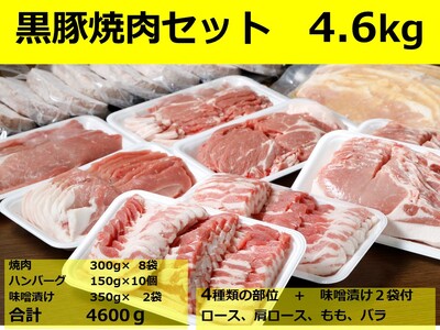 北海道　黒豚焼肉Bセット2.4kg・ハンバーグ10個・味噌漬け　黒豚　豚肉　小分け　焼肉　北海道豚　国産豚