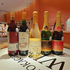 サクラアワード受賞セット2024年　5本　十勝ワイン　北海道ワイン　おすすめワイン 
