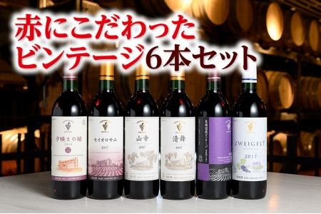 【北海道】赤にこだわったビンテージ6本　十勝ワイン　人気ワイン　ビンテージワイン　ワイン　北海道ワイン　国内ワイン　ワイン　ワイン　ビンテージ　ワイン　国内ワイン　ワイン　ワイン　ビンテージ　ワイン