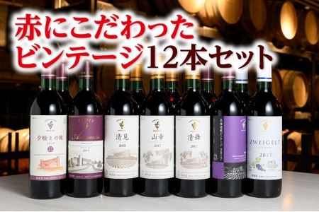 【北海道】赤にこだわったビンテージ12本　人気ワイン　ビンテージワイン　ワイン　北海道ワイン　本格派ワイン　こだわりワイン　ワイン　北海道ワイン　国内ワイン　ワイン　ワイン　ビンテージ　ワイン　国内ワイン　ワイン　ワイン　ビンテージ　ワイン