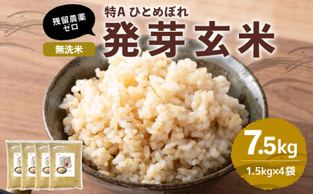 特Aひとめぼれ米 残留農薬ゼロ 発芽玄米 1.5kg×5袋(7.5kg) 