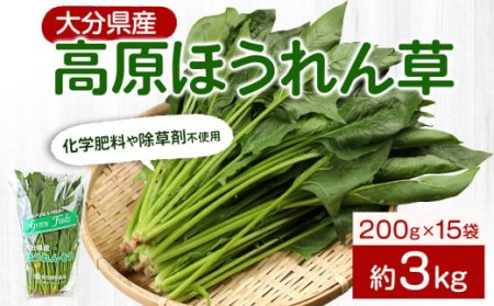 大分県産 高原 ほうれん草 3kg (200g×15袋) 高原野菜