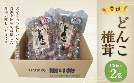 大分県産 どんこ 椎茸 2個セット 100g×2袋 乾しいたけ きのこ