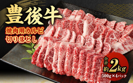 【大分県産】 豊後牛 焼肉用 カルビ 切り落とし 約2kg (約500g×4パック) 牛肉 中落ち