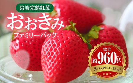 宮崎完熟紅苺「おおきみ」ファミリーパック イチゴ いちご フルーツ