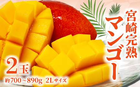 【期間限定】宮崎完熟マンゴー 約700～890g 2Lサイズ（2玉）_ フルーツ お土産 冷蔵