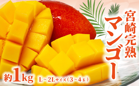 【期間限定】宮崎完熟マンゴー 約1kg L～2Lサイズ（3～4玉） くだもの 完熟 フルーツ 