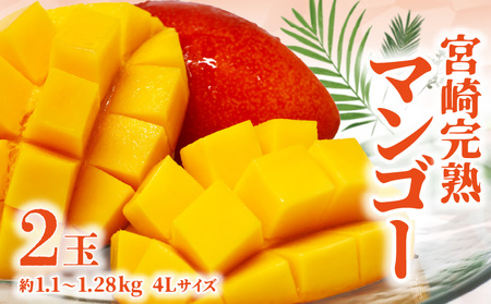 【期間限定】宮崎完熟マンゴー 約1.1～1.28kg 4Lサイズ（2玉） 果物 フルーツ マンゴー