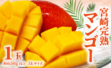 【期間限定】宮崎完熟マンゴー 650g以上 5Lサイズ（1玉） 果物 フルーツ マンゴー