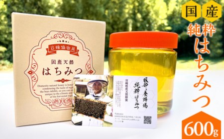 数量限定 宮崎県産純粋ハチミツ(600g×1本) はちみつ 純粋 蜂
