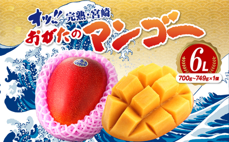 【期間・数量限定】おがたのマンゴー　完熟宮崎マンゴー　6Lサイズ（700g～749g）×1個 完熟 くだもの ギフト
