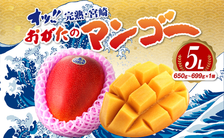 【期間・数量限定】おがたのマンゴー　完熟宮崎マンゴー　5Lサイズ(650～699g)×1個 完熟 くだもの ギフト