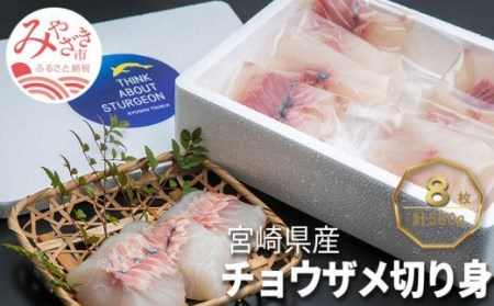 宮崎県産チョウザメの切り身70g×8パックセット