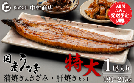 国産うなぎ蒲焼き特大サイズ(181～215g)・きざみ・肝焼きセット