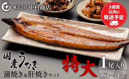 国産うなぎ 蒲焼き 特大サイズ(181～215g)・肝焼きセット 国産鰻 お吸い物 お土産