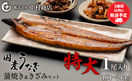 国産うなぎ蒲焼き特大サイズ(181～215g)・蒲焼きざみセット