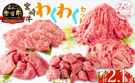 宮崎牛わくわく2.1kgセット　肉 牛 牛肉 宮崎牛