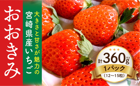 宮崎県産 イチゴ おおきみ 1パック (380g以上:12粒～15粒程度) いちご 苺 果物 先行予約 期間・数量限定