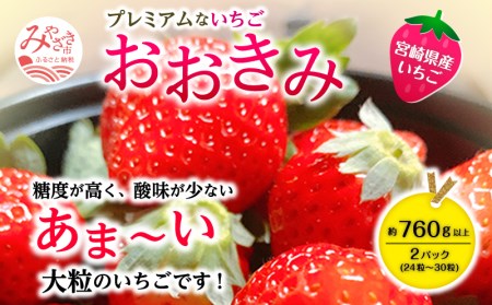 宮崎県産 イチゴ おおきみ 2パック (760g以上:24粒～30粒程度) いちご 苺 果物 先行予約 期間・数量限定