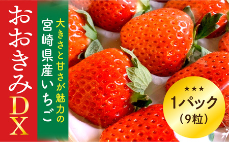 宮崎県産 イチゴ おおきみDX 1パック(9粒) いちご 苺 果物 先行予約 期間・数量限定