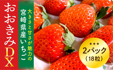 宮崎県産 イチゴ おおきみDX 2パック(18粒) いちご 苺 果物 先行予約 期間・数量限定