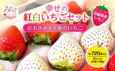 宮崎県産 イチゴ 幸せの紅白いちごセット おおきみ&天使のいちご 2パック(720g以上:24粒～30粒程度) いちご 苺 果物 先行予約 期間・数量限定