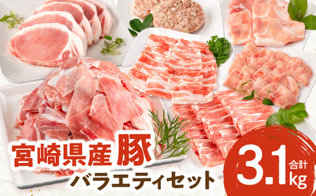 宮崎県産豚 バラエティセット 7種 合計3.1kg 豚肉 肩ロース 小間切れ
