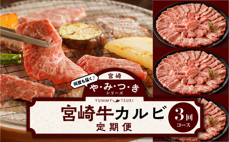 やみつきシリーズ宮崎牛カルビ定期便 肉 牛 牛肉 カルビ