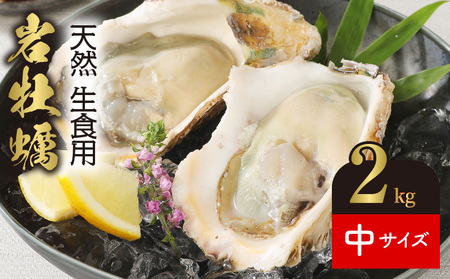 【2024/4月～発送】延岡市産　天然岩牡蠣（生食用）中サイズ250g程度　計2kg N124-ZA378