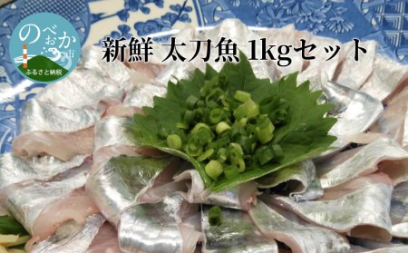 【2024年10月発送開始】新鮮 太刀魚 1kgセット　N072-A0110