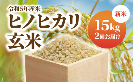 新米 令和5年産米 お米 玄米 ヒノヒカリ 15kg×2回 むかばき山 カームファム　N0138-ZC049