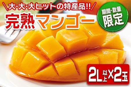 数量限定 日南市産 完熟 マンゴー 2L以上×2玉 フルーツ 果物 人気 国産 完熟マンゴー 食品 デザート 産地直送 送料無料_BC62-23