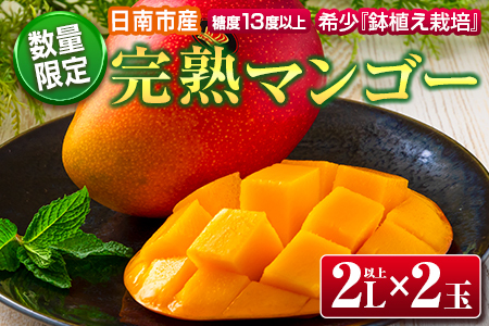 数量限定 希少 完熟 マンゴー 鉢植え栽培 2L以上×2玉 フルーツ 果物 国産 食品 デザート 完熟マンゴー 産地直送 送料無料_CB82-23