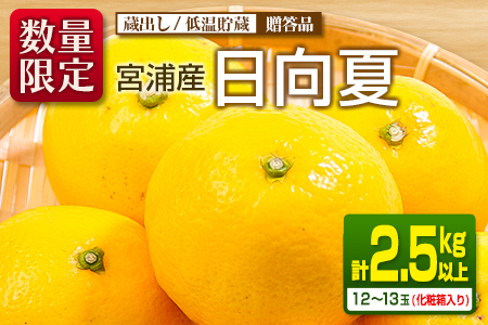 ≪数量限定≫宮浦産蔵出し日向夏(計2.5kg以上)　フルーツ　果物　柑橘　みかん　国産 BA53-23
