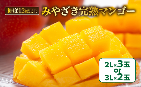 期間限定 マンゴー みやざき 完熟マンゴー 2～3玉 フルーツ 果物 国産 3L 2L 食品 デザート 産地直送 送料無料_D84-23