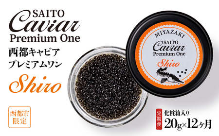 【定期便】SAITO CAVIAR PREMIUM ONE SHIRO 20g×12カ月 キャビア 西都市オリジナル＜44-1＞鮎のよしの