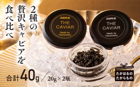 THE・CAVIAR（ザ・キャビア）2種食べ比べセット 合計40g　特番509
