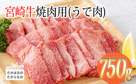 宮崎牛焼肉（うで肉）約750g　特番569