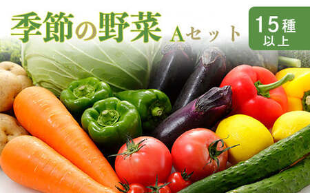 国産『季節の野菜詰め合わせセットA』15種類以上の新鮮な野菜をお届け！ 仕送りに最適な栄養豊富で健康的な野菜セット [やさい 旬 大容量]