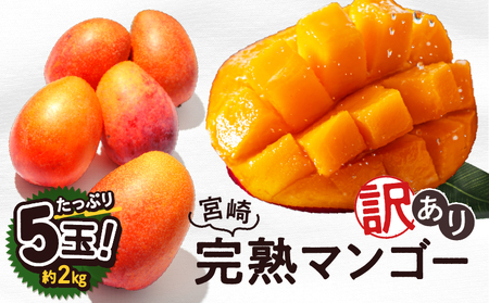 訳あり 完熟 マンゴー 2L 3L 5玉 濃厚 高級 宮崎 果物 フルーツ 贈答 ギフト 甘い 先行受付 送料無料（14-80）