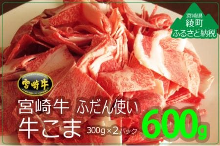 宮崎牛A4等級牛小間切れ600g (300g×2パック)（36-215）