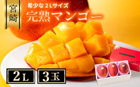 完熟 マンゴー 2L 3玉 化粧箱 宮崎 高級 果物 フルーツ 濃厚 ギフト のし 贈答 先行受付 送料無料（04-79）
