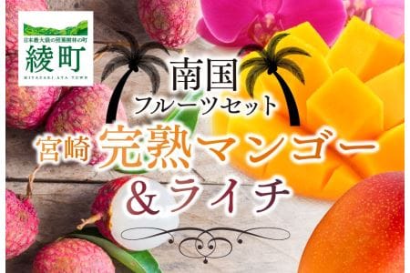 完熟 マンゴー ライチ セット 宮崎 高級 果物 フルーツ ギフト 贈答 先行受付 送料無料（14-72）