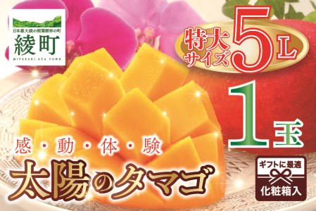 太陽のタマゴ 5L 1玉 完熟 マンゴー 規格 基準 最大 濃厚 宮崎 高級 果物 フルーツ 贈答 ギフト 先行受付 送料無料（04-80）