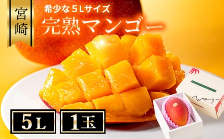完熟 マンゴー 5L サイズ 1玉 規格 基準 最大 濃厚 宮崎 高級 果物 フルーツ 贈答 ギフト 先行受付 送料無料（04-81）