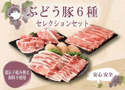 綾ぶどう豚セレクション6種セット1.7kg 小分け（22-33）