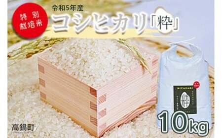 ＜令和5年度 特別栽培米「粋」コシヒカリ 10kg＞ ※入金確認後、翌月末迄に順次出荷します。【c855_kh_x4】 米 こしひかり