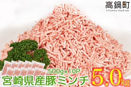 ＜宮崎県産豚ミンチ5.0kg＞2か月以内に順次出荷します【c553_hn_x1】