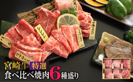 宮崎牛 特選 食べ比べ焼肉6種盛り 合計600g(各100g)【D96】
